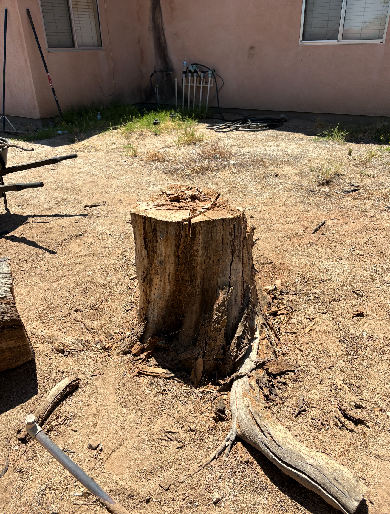 Tree stump and debris removal