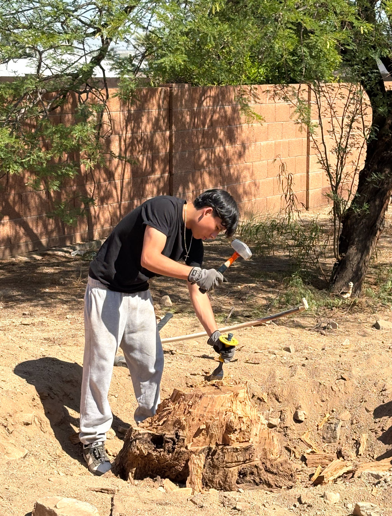 Ray's team member working hard